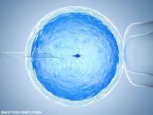 王医生